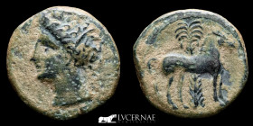 Carthaginians  Bronze 1/2 Calco 2,84 g. 11 mm.  Cartago Nova 220-205 B.C GVF+
