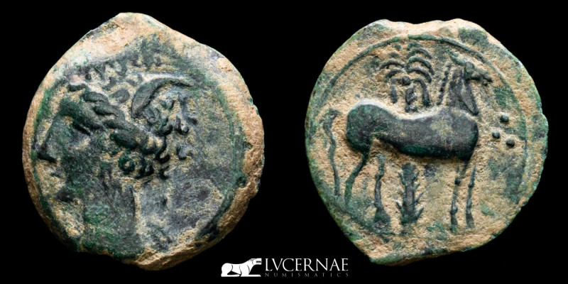 Ancient Hispania - Carthaginian occupation (218-208 B.C.), bronze half calco (2,...