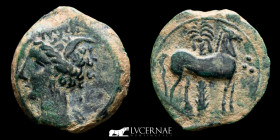 Carthaginians  Bronze 1/2 Calco 2,65 g. 17 mm.  Cartago Nova 220-205 B.C GVF+