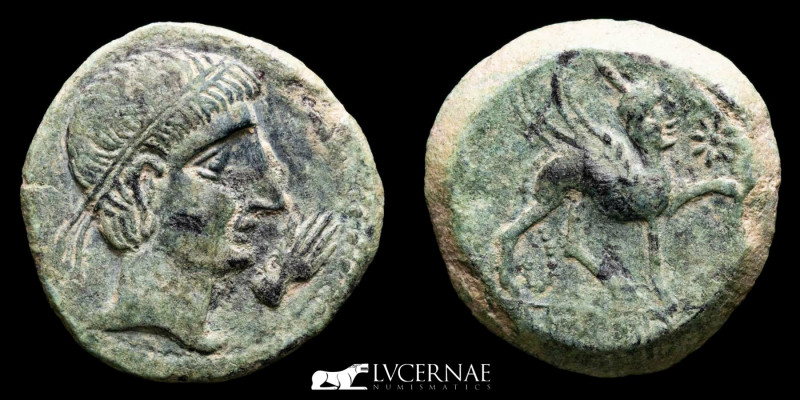 Ancient Hispania - Castulo (Linares, Jaén), bronze As (12.23 g. 21 mm.) minted a...