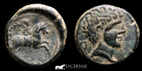 Cese-Tarraco (Tarragona) bronze As 11.26 g., 24 mm. Tarraco 120-50 B.C. Good very fine (MBC+)