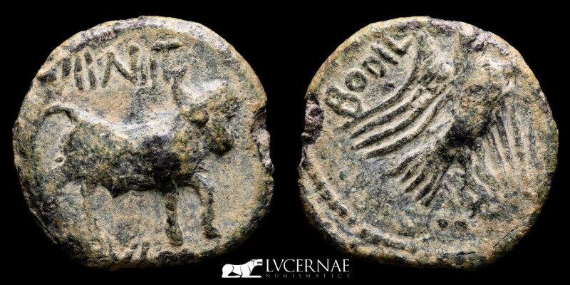 Ancient Hispania - Obulco (actual Porcuna, Jaén) Bronze semis (4,64 g, 21 mm.) M...