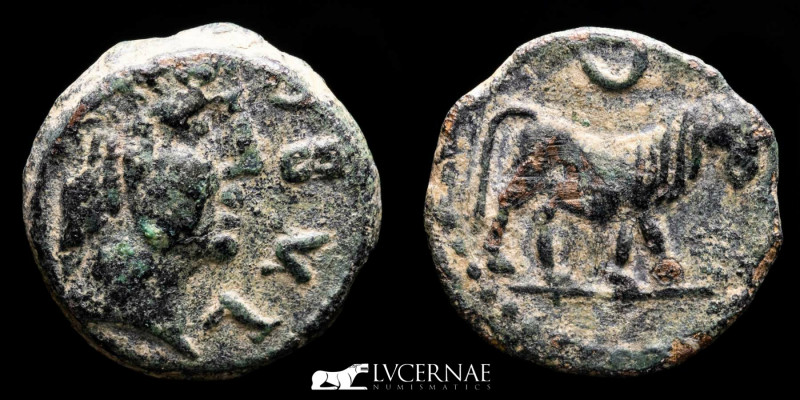 Ancient Hispania - Obulco bronze semis (5,25 g. 19 mm.). 1st century B.C.

Laure...