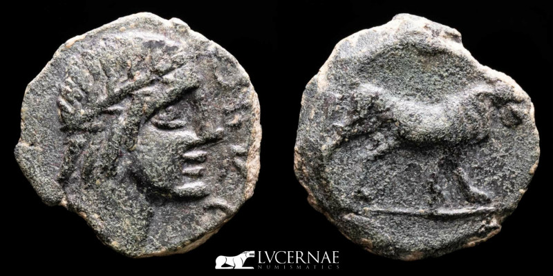Ancient Hispania - Obulco bronze semis (5,66 g. 19 mm.). 1st century B.C.

Laure...