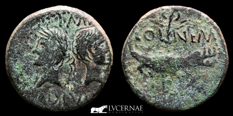 Roman Empire
Augustus (27 B.C.-14 A.D.) and Agrippa. Bronze dupondius (11,15 g. ...