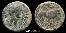 Augustus  Bronze As 14.01 g. 29 mm. Calagurris (Calahorra) 27 BC-14 AD Good very fine (MBC+)