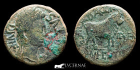 Augustus  Bronze As 12,50 g. 24 mm. Celsa (Velilla del Ebro, Zaragoza) 2 - 14 A.D Good very fine (MBC+)