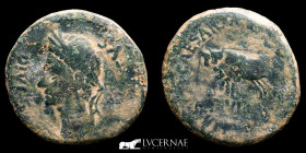 Augustus   Bronze As 12,05 g 28 mm Caesaraugusta 27BC-14AD Very Fine