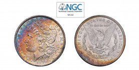 USA Morgan (1878-1921) Dollaro 1879 Ag. KM#110. Patina di monetiere. Raro. FDC. NGC MS64. ((Stima €400-500).
NGC MS64