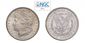 USA Morgan (1878-1921) Dollaro 1884 Ag KM#110. FDC. NGC MS63. (Stima €200-300).
NGC MS63