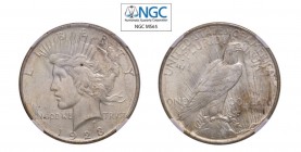 USA Peace (1921-1935) Dollaro 1923. KM#150. Di grande qualità. NGC MS65. (Stima €500-600).
PCGS MS65