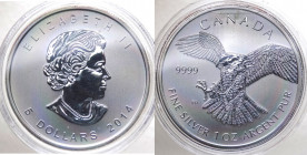Canada - Elisabetta II (dal 1952) 5 Dollari (1 Oncia) 2014 "Falco Pellegrino" - Ag - Proof - In capsula - gr.31,1
FS
Spedizione in tutto il Mondo / ...