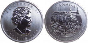 Canada - Elisabetta II (dal 1952) 5 Dollari (1 Oncia) 2013 "Antilocapra" - Ag - Proof - In capsula - gr.31,1
FS
Spedizione in tutto il Mondo / World...