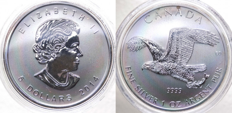 Canada - Elisabetta II (dal 1952) 5 Dollari (1 Oncia) 2014 "Aquila Calva" - Ag -...