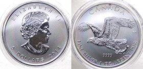 Canada - Elisabetta II (dal 1952) 5 Dollari (1 Oncia) 2014 "Aquila Calva" - Ag - Proof - In capsula - gr.31,1
FS
Spedizione in tutto il Mondo / Worl...