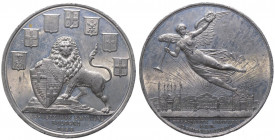 Medaglia emessa nel 1888 commemorativa dell'Esposizione Emiliana in Bologna - prodotta dalla ditta Zanetti e Sarti - Comandini p. 61 - R - Mb - gr. 41...