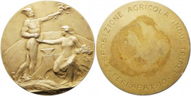 regno d'italia - medaglia - Esposizione Agricola Industriale di Ferrara - 1910 - opus Johnson - Ag - mm 44 gr 35,07
SPL
Spedizione solo in Italia / ...