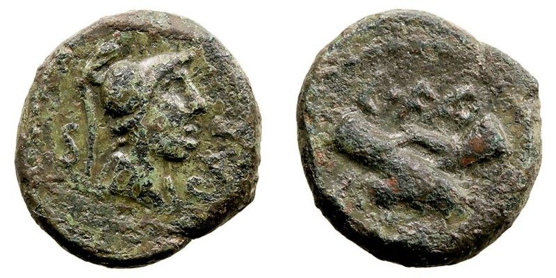 MONEDAS ANTIGUAS
LUCANIA
Semis. AE. Paestum. (90-44 a.C.). A/Cabeza con casco ...