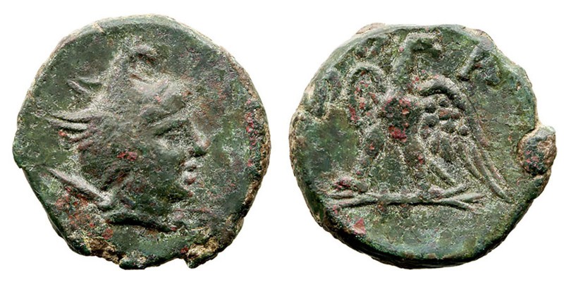 MONEDAS ANTIGUAS
REINO MACEDONIO
Filipo V. AE-19. (221-179 a.C.). A/Cabeza con...