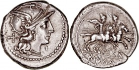 REPÚBLICA ROMANA
SCRIBONIA
Denario. AR. A/Cabeza de Roma a der., detrás X. R/Los Dioscuros a caballo a der., encima estrellas, debajo C. SCR., en ex...