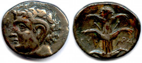 Greek
CYRÉNAÏQUE - CYRÈNE 308-277
Tête cornue de Karneios. R/. Silphium entre KY-PA.
BMC 259 (mêmes coins)
Didrachme d’argent. (6,53 g) 
Flan obl...