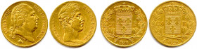 France Royales
XIXe siècle 
Deux monnaies en or : 
20 Francs Louis XVIII 1818 Lille et 20 Francs Charles X 1828 Paris.
Très beau et T.B. 
Provena...