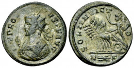 Probus silvered AE Antoninianus, Rome