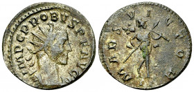 Probus silvered AE Antoninianus, Lugdunum