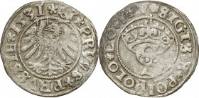Sigismund I Old
POLSKA/ POLAND/ POLEN / POLOGNE / POLSKO

Zygmunt I Stary. Szeląg 1531, Torun / Thorunensis 

Czytelny egzemplarz.Kopicki 3080
...