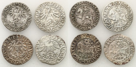 Sigismund II August
POLSKA/ POLAND/ POLEN / POLOGNE / POLSKO

Zygmunta II Augusta. Half Grosz (Groschen) 1558, 1562, 1564, 1565, Vilnius / Lithuani...