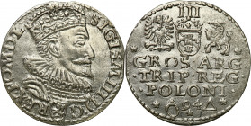 COLLECTION of Polish 3 grosze
POLSKA/ POLAND/ POLEN / POLOGNE / POLSKO

Zygmunt III Waza. Trojak (3 grosze) 1594, Malbork 

Trojak podobny do odm...