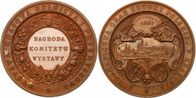 Polish medals from the XVIIth-XXth century
POLSKA/ POLAND/ POLEN / POLOGNE / POLSKO

Poland under partitions. Award Medal 1887 Agricultural and Ind...