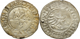 COLLECTION of Silesian coins
POLSKA / POLAND / POLEN / SCHLESIEN / COURLAND / OELS /BRIEG

Silesia. The Principality of Legnica-Brzesko-Woowskie. F...