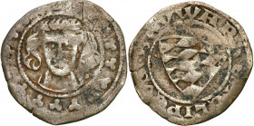 COLLECTION of Silesian coins
POLSKA / POLAND / POLEN / SCHLESIEN / COURLAND / OELS /BRIEG

Silesia. The Duchy of Zibice. Bernard, Henryk, Bolko II ...