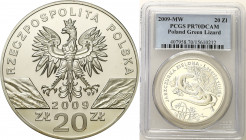 Polish collector coins after 1990
POLSKA / POLAND / POLEN / POLOGNE / POLSKO

III RP. 20 zlotych 2009 Jaszczurka Zielona PCGS PR70 DCAM (MAX) 

D...