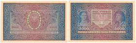 COLLECTION of Polish Banknotes
POLSKA / POLAND / POLEN / PAPER MONEY / BANKNOTE

5.000 polish mark 1920 seria II-R 

Lekkie zagniecenie i przebar...