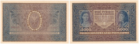 COLLECTION of Polish Banknotes
POLSKA / POLAND / POLEN / PAPER MONEY / BANKNOTE

5.000 polish mark 1920 seria III-AO 

Zagniecenia w okolicach gó...