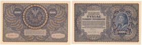 COLLECTION of Polish Banknotes
POLSKA / POLAND / POLEN / PAPER MONEY / BANKNOTE

1.000 polish mark 1919 seria III-AT 

Pięknie zachowany banknot....