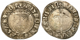 France
France, Lorraine. Charles III (1545-1608). Double denarius 

Moneta czytelna, patyna.Bd. 1545 (1f) - Flon p. 636, 46 var

Details: 1,10 g ...