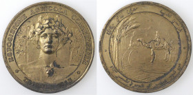 Medaglie. Vittorio Emanuele III. 1900-1943. Medaglia 1913. Esposizione agricola commerciale Tripoli. Br. Dorato. Diametro mm. 55 Peso gr. 65. D/ Busto...
