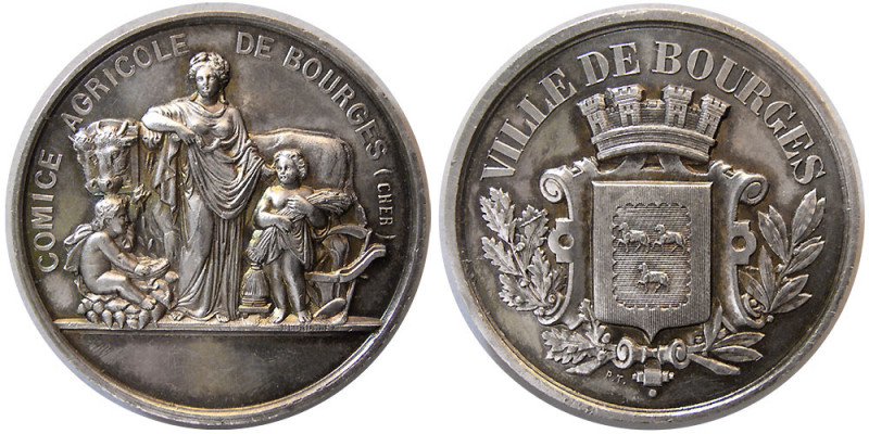 FRANCE. Late 1800s Silver French Medal (21.82 gm; 37 mm). (Agriculture). Lovely ...