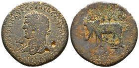 CILICIA, Tarsus. Caracalla. 198-217 AD. Æ. Struck 215 AD. Mantled bust right, wearing demiourgic crown / Elephant standing left, bearing Ciliarch crow...