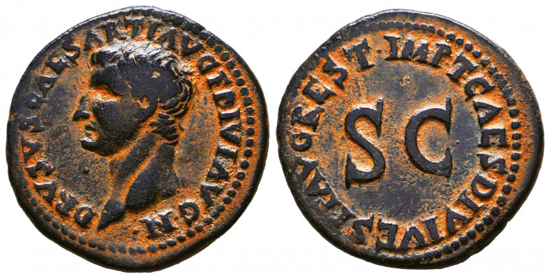 DRUSUS. Son of Tiberius. Æ . Rome mint. Struck under Titus 80-81 AD. DRVSVS CAES...
