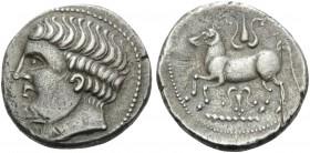 CELTIC, Central Europe. Late 3rd century BC. Tetradrachm (Silver, 24 mm, 12.22 g, 6 h), Apollokopf/Leierblumme type, Slovakia. Male head to left. Rev....