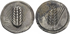 LUCANIA. Metapontum . Circa 540-510 BC. Stater (Silver, 27 mm, 8.15 g, 12 h). ΜΕΤ Ear of barley with eight grains. Rev. Ear of barley with eight grain...