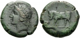 SICILY. Tauromenion . Circa 339/8-336 BC. Hemilitron (Bronze, 25 mm, 15.07 g, 11 h). [ΑΡΧΑΓΕΤΑΣ] Laureate head of Apollo Archagetas to left. Rev. TAYP...