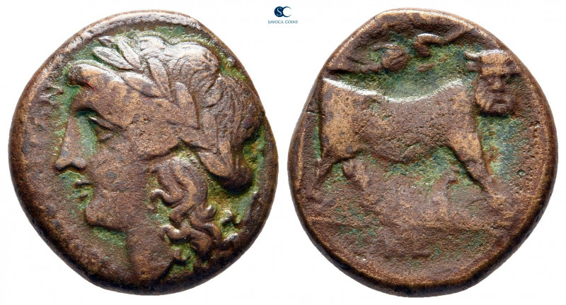 Campania. Neapolis circa 250-200 BC. 
Bronze Æ

17 mm, 4,96 g



very fin...