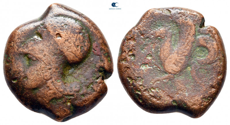 Sicily. Syracuse. Dionysios I 405-367 BC. 
Hemilitron Æ

18 mm, 7,56 g


...