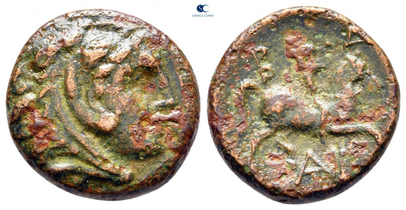 Kings of Macedon. Pella. Antigonos II Gonatas 277-239 BC. 
Bronze Æ

17 mm, 4...