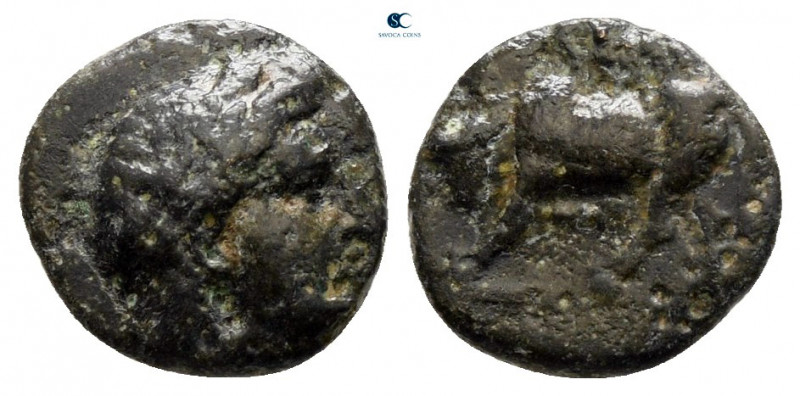 Mysia. Gambrion circa 400-300 BC. 
Bronze Æ

9 mm, 0,71 g



very fine